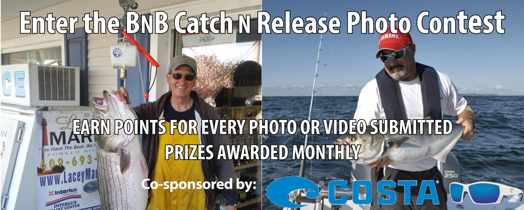 catch n release photo contest